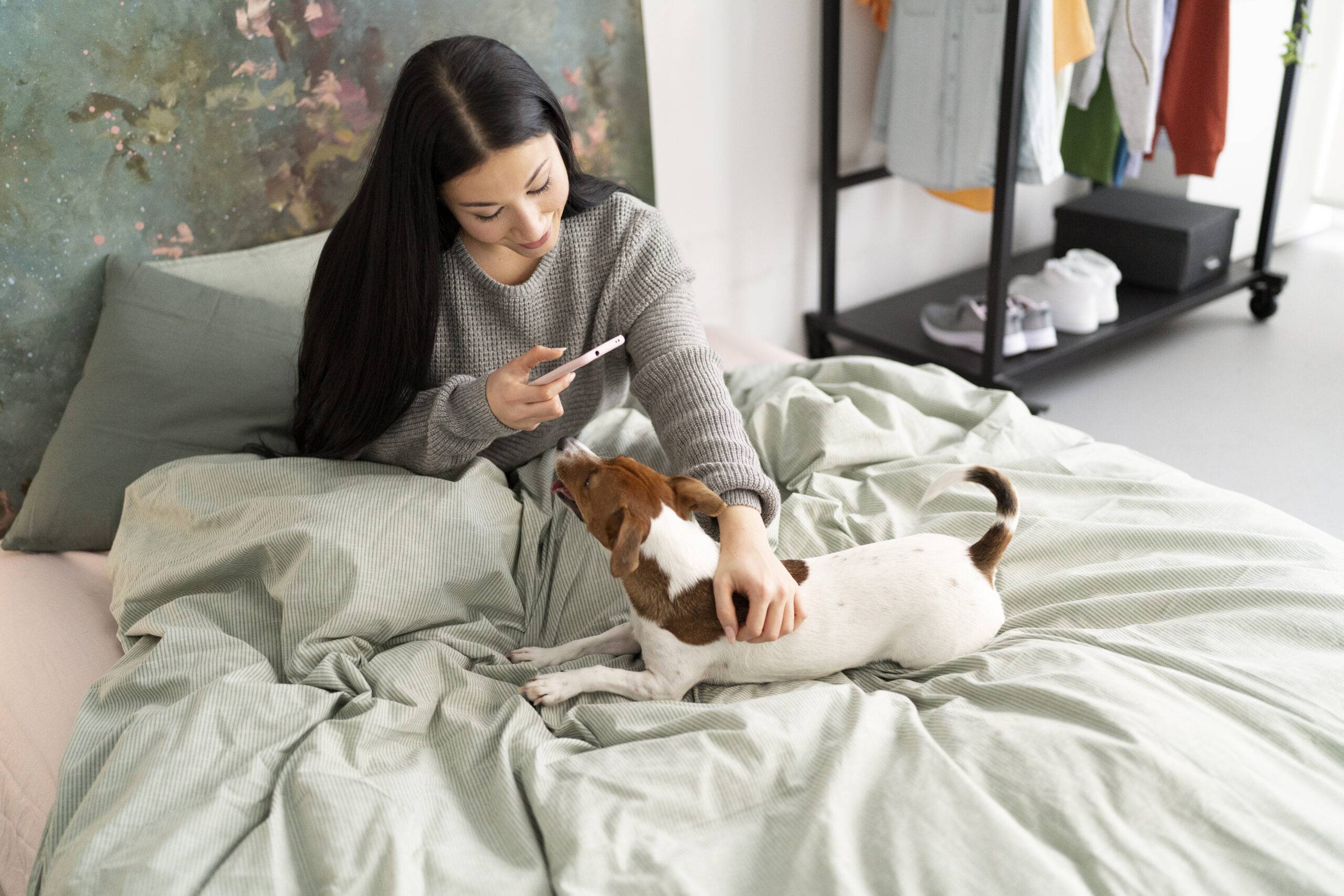 Como saber se o cachorro esta com febre: dicas e cuidados
