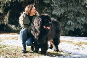 maior-cachorro-do-mundo