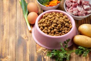 alimentacao-natural-para-caes