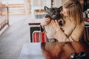 pet-friendly