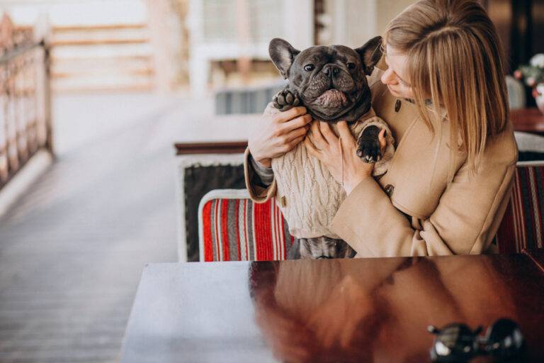 pet-friendly
