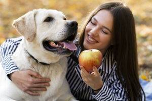 frutas-que-cachorro-pode-comer