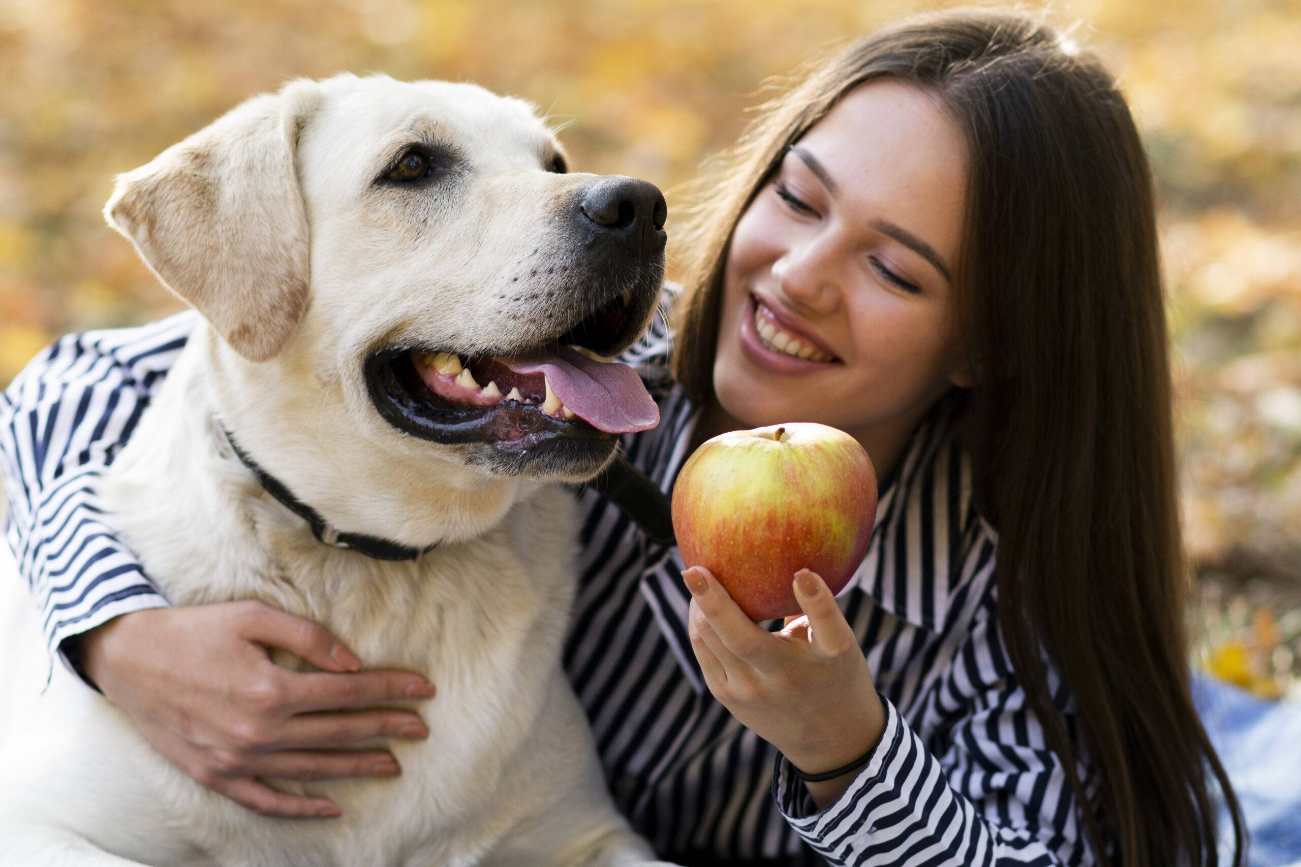 frutas-que-cachorro-pode-comer