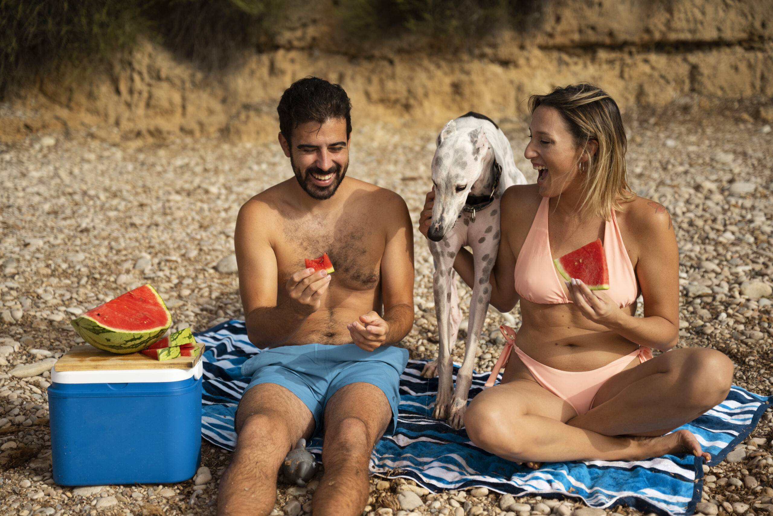 Cachorros podem comer frutas? Veja quais são seguras