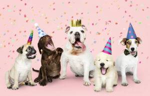 dia-mundial-do-cachorro