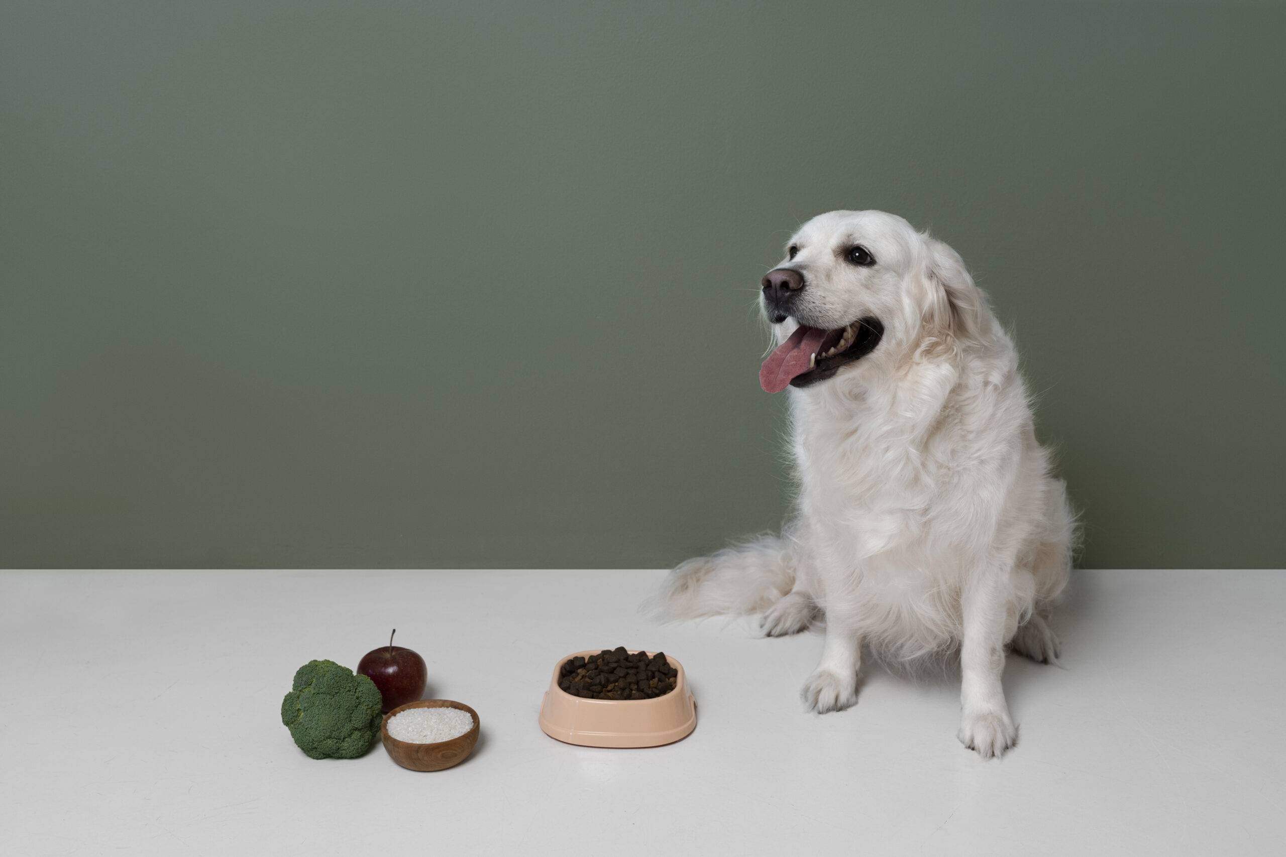 cachorro-pode-comer-brocolis