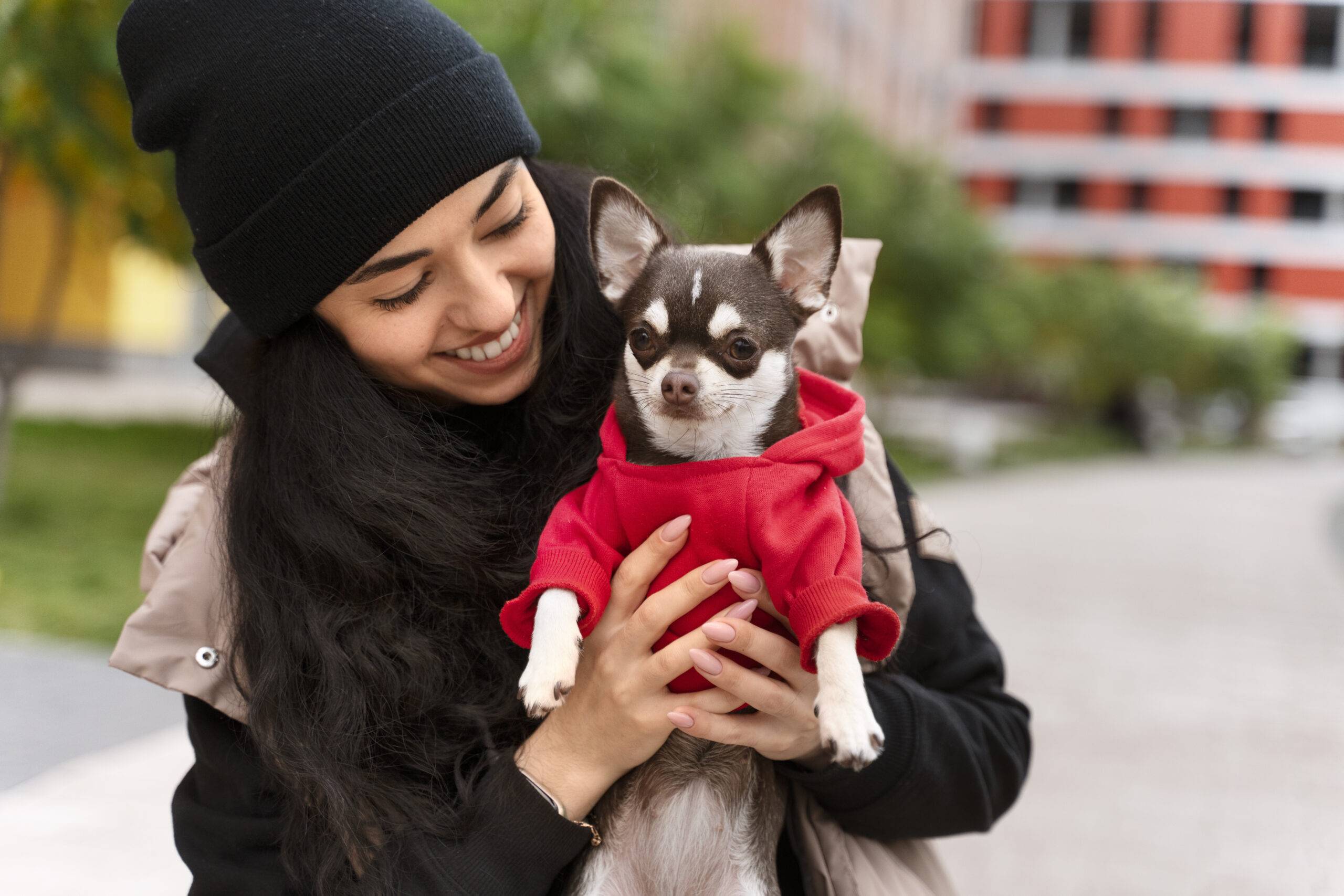 Cachorro sente frio? Descubra os sinais e cuidados