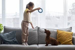 enriquecimento-ambiental-cachorro