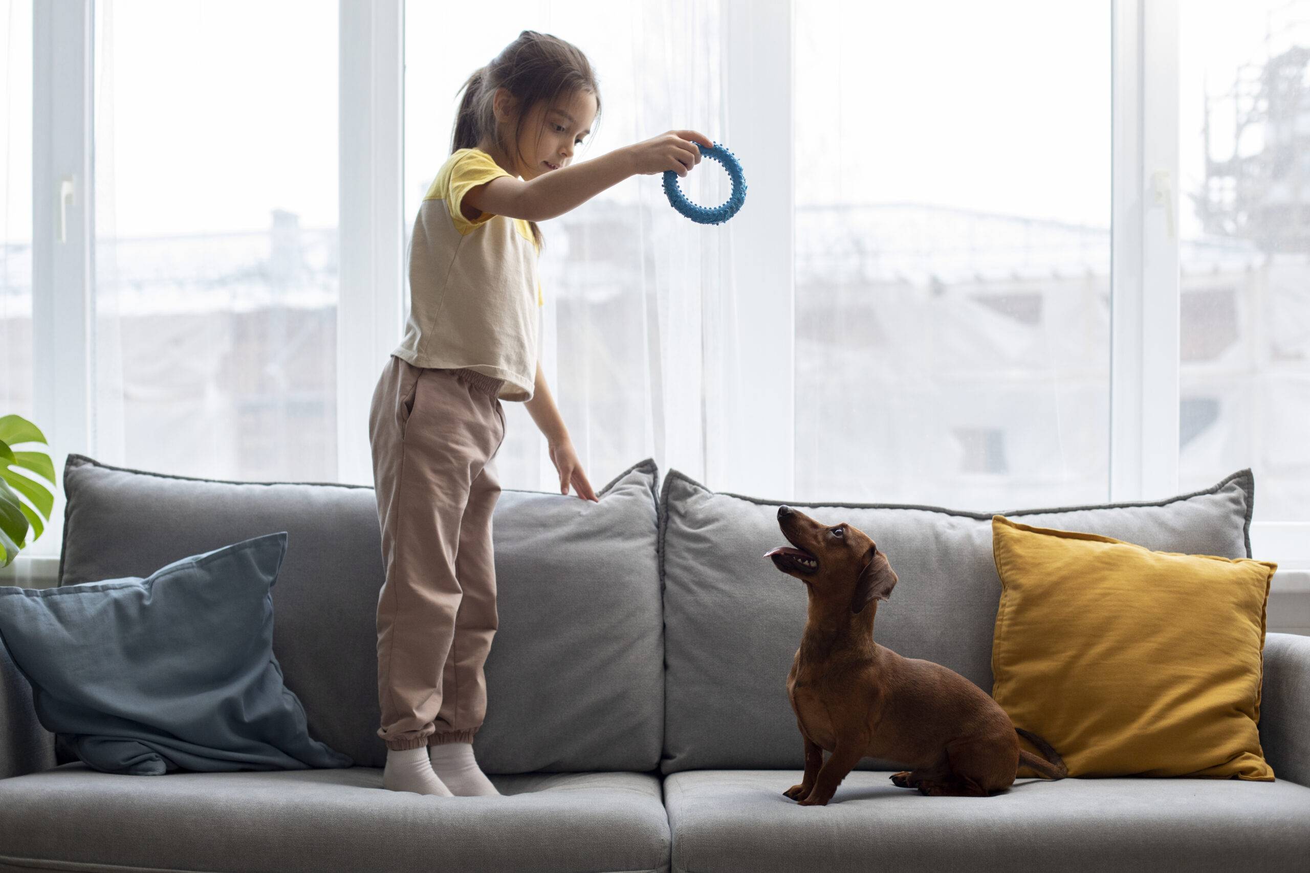 Enriquecimento ambiental cachorro: o que é e ideias criativas para seu pet