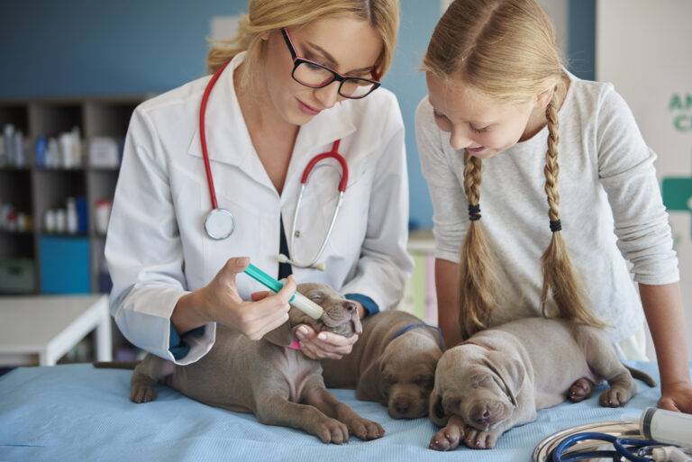 remedio-de-verme-para-cachorro-filhote