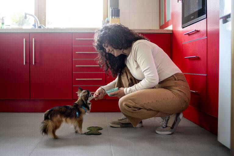 cachorro-pode-comer-beterraba