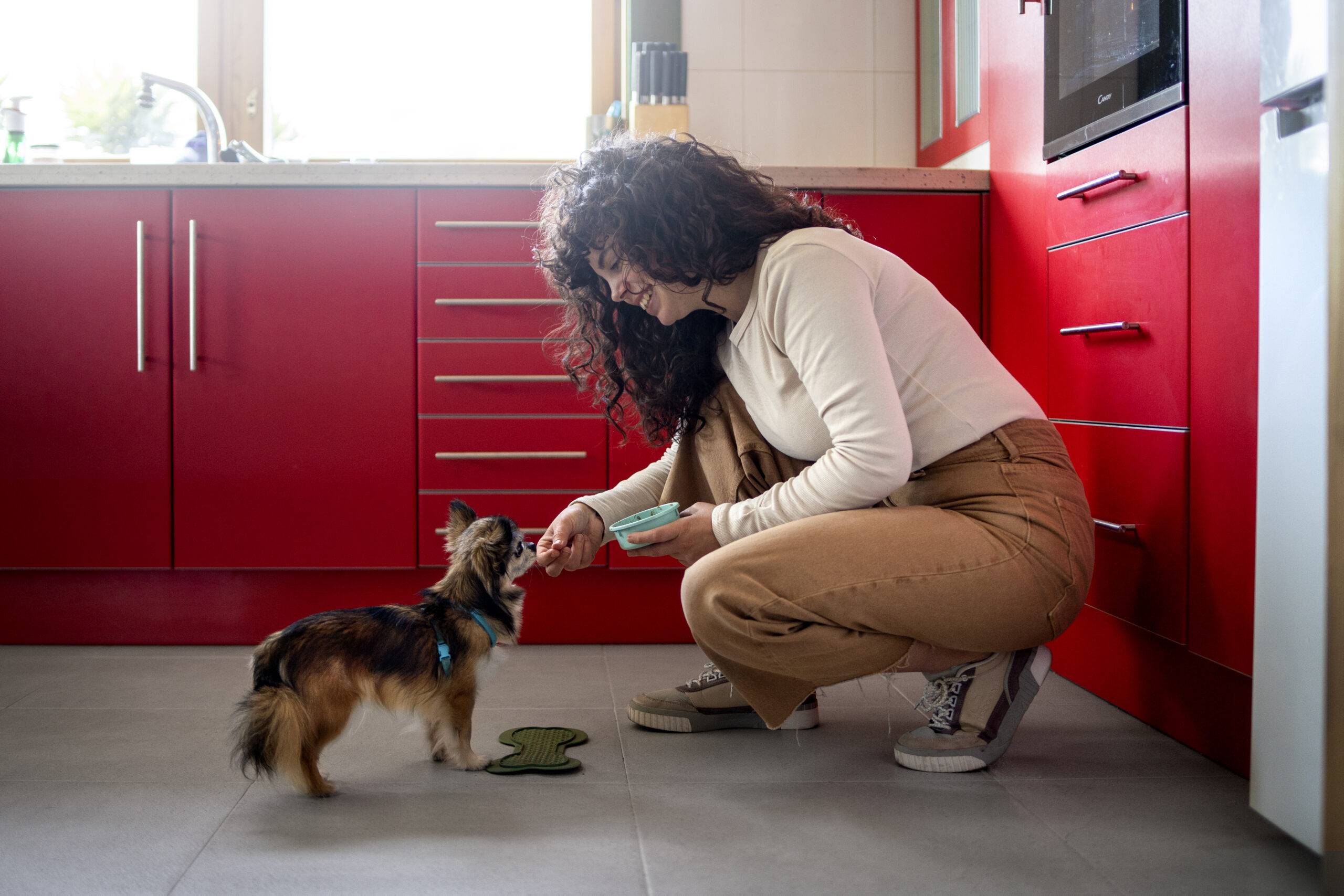 cachorro-pode-comer-beterraba