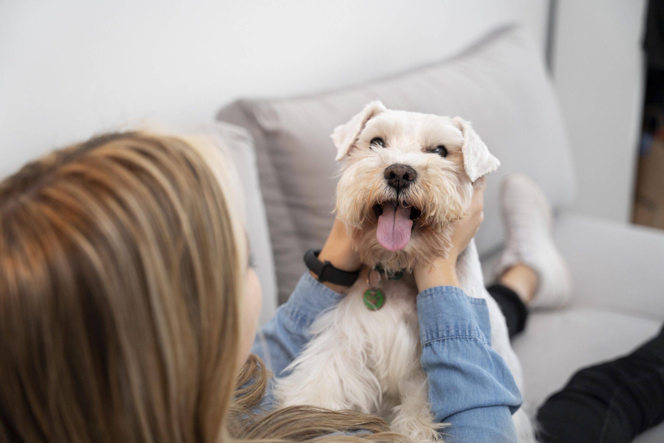 pode-dar-banana-para-cachorro