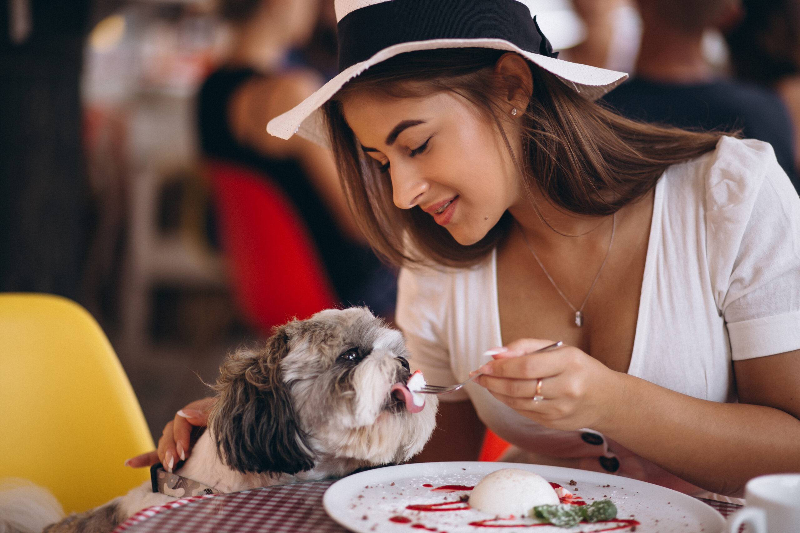 cachorro-pode-comer-ovo